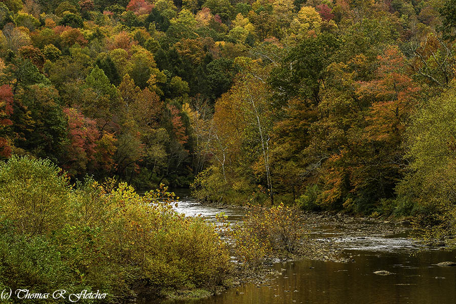 'Fall Color along Gauley River'
#AlmostHeaven #WestVirginia #Highlands #Fall2023 #FallColors #ThePhotoHour