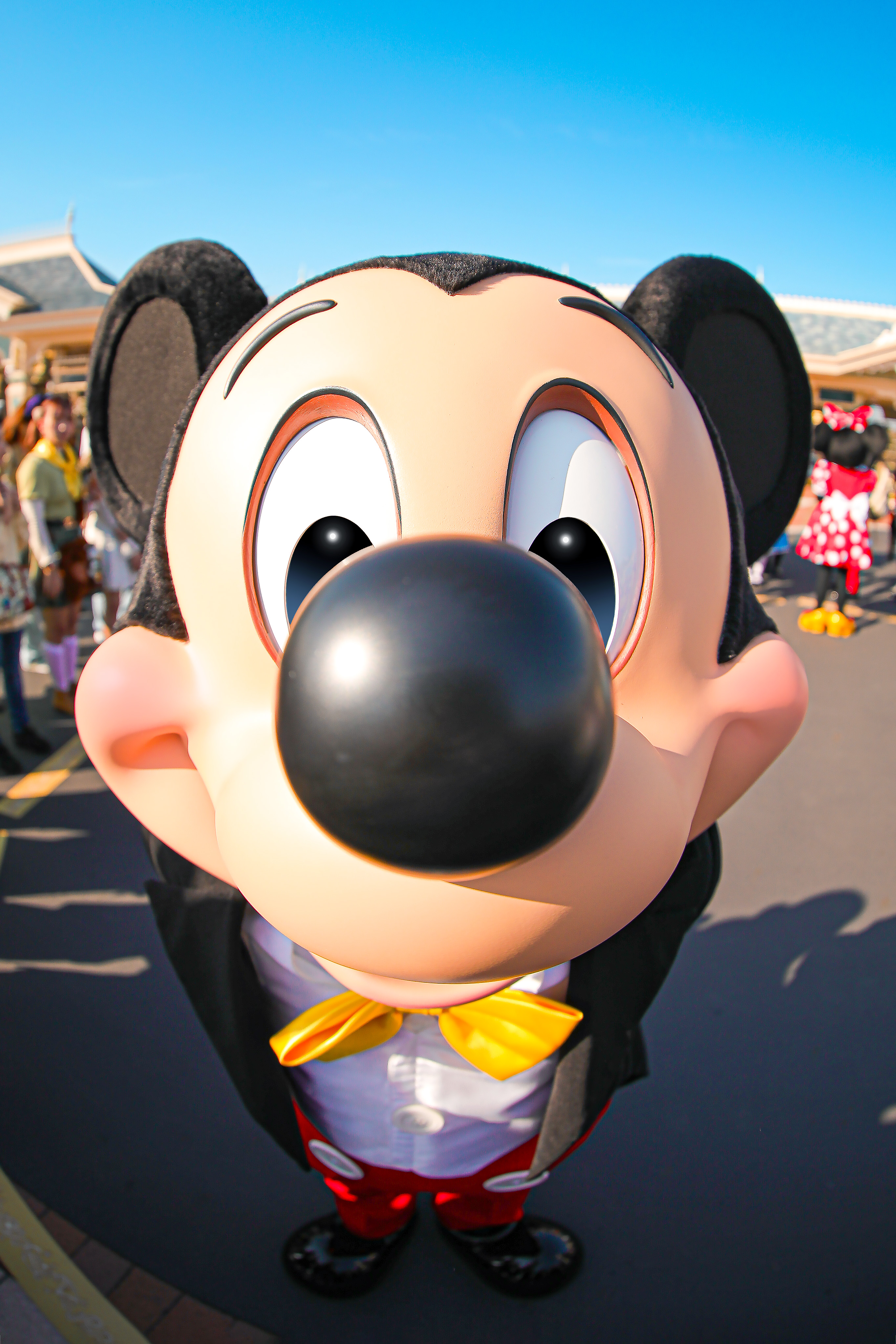 dtr6013199_1.jpg
