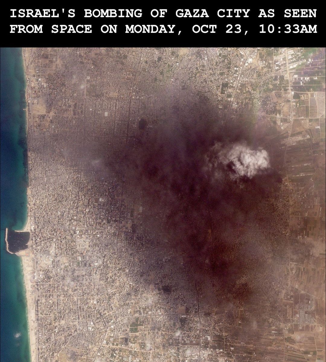 Mamü Vies tweet media