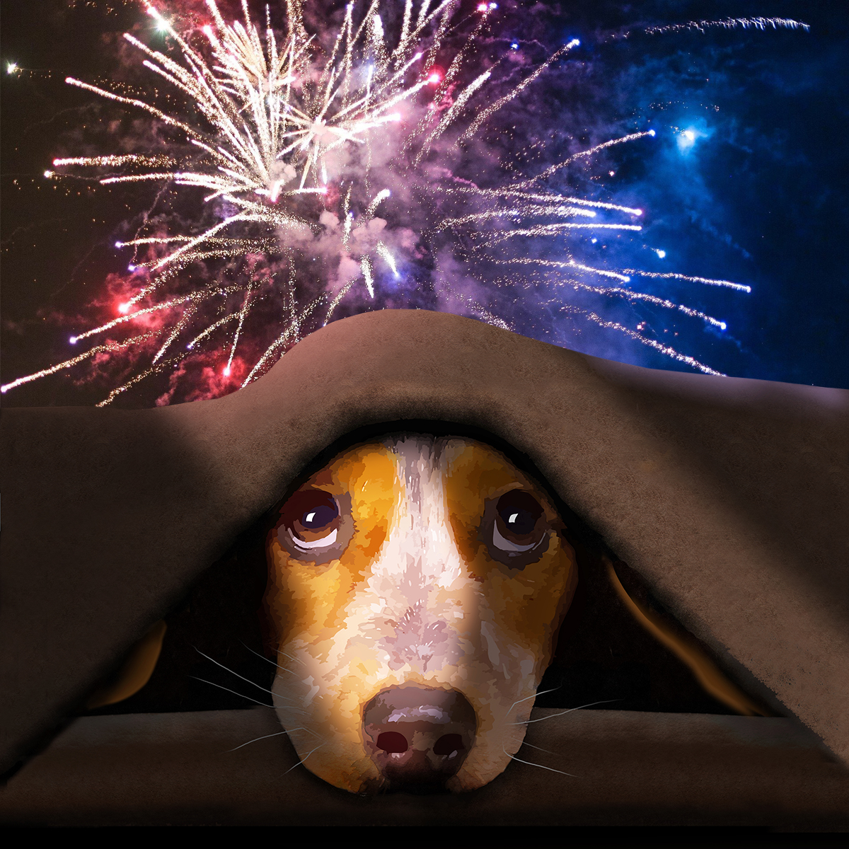 An @RSPCA_official poll found that over 76% of UK adults think the govt should limit days when #fireworks can be let off for #BonfireNight. 🎆 If you'd like to see changes to legislation, please support their #BangOutOfOrder action by emailing your MP: rspca.org.uk/getinvolved/ca…