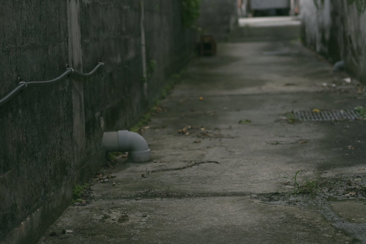 lexy_architect's tweet photo. 路地にスツールを置いて腰を下ろしてみる。
街の流れをもろに感じることができる。 https://t.co/ZJZopm6NmE