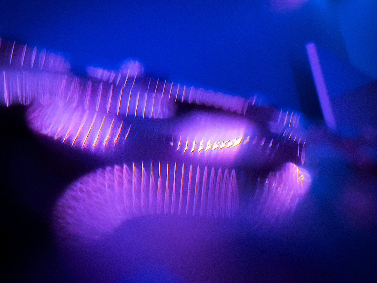 A_blender_user's tweet photo. https://t.co/6mXEFYQQ4U