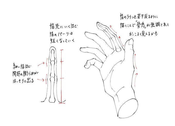 指を描くときのポイントメモです。 