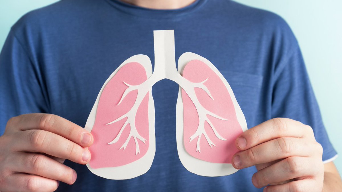 NeumoMadrid's tweet photo. La Fisioterapia Respiratoria ayuda que el paciente tenga un mejor manejo de su enfermedad y limpie sus pulmones de secreciones. Además, esta disciplina va a indicar qué tipo de ejercicio, cuánto, a qué hora y con qué frecuencia ⏯️

https://t.co/NB3SXRTagr https://t.co/yNugA0x274