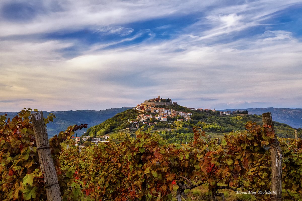 Jesen u Motovunu
#motovun #vinogradi #jesen #istra #photography