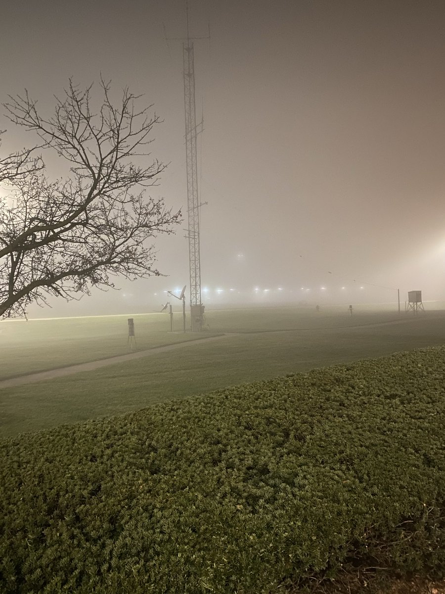 ZacharyYack's tweet photo. Insanely dense fog this morning! Visibility at KLOT around a 1/16 of a mile. #ilwx https://t.co/eeINnPK9BW