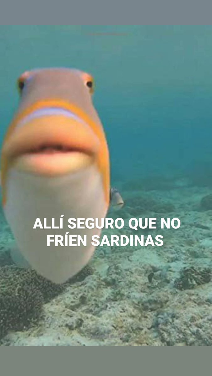 Dani_elOsuna's tweet image. Sale una cocina abierta y conectada al salón en el programa canadiense de reforma de casas

Mi madre: