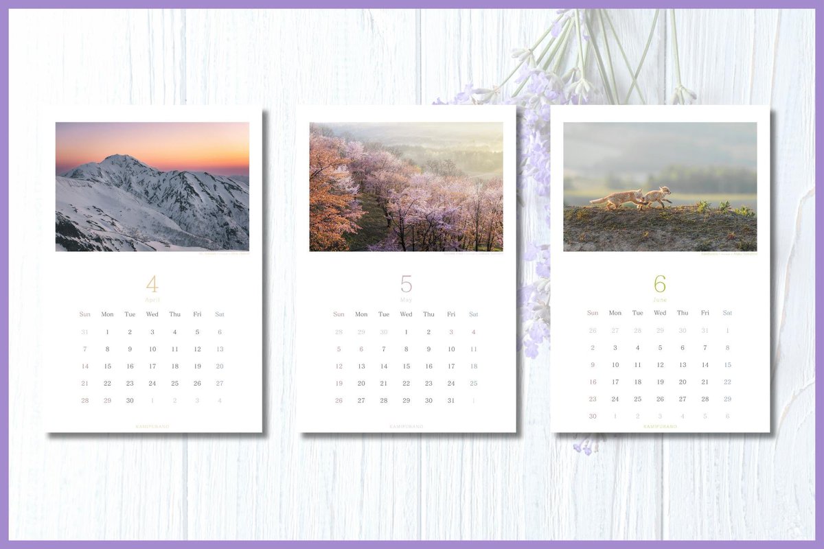 📅 告知 📅

2024年カレンダー『KAMIFURANO』販売します📸‼️

上富良野町民3人が、上富良野で撮影した作品がカレンダーになりました。

↓こちらより
kamifurano.stores.jp

明日から開催の写真展『KAMIFURANO』と連動しており、展示作品をご自宅でも気軽に楽しんでいただけます。