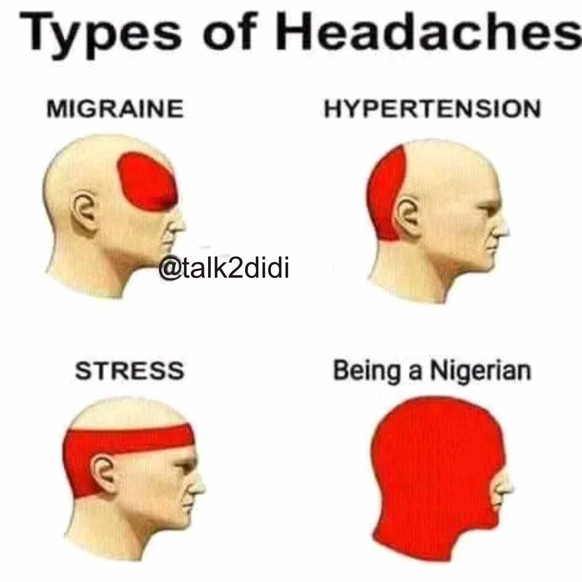 Wow
#1USD #Isreal #m