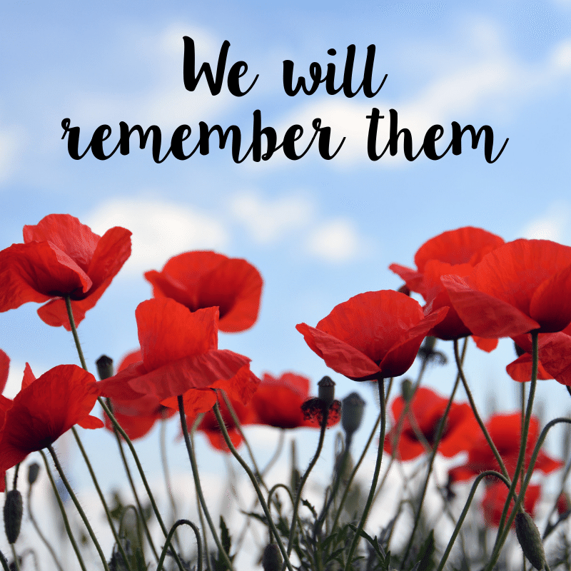 judiemh's tweet photo. I always take the time to stop and reflect as we remember all those that fell. https://t.co/YjjUEeXENc