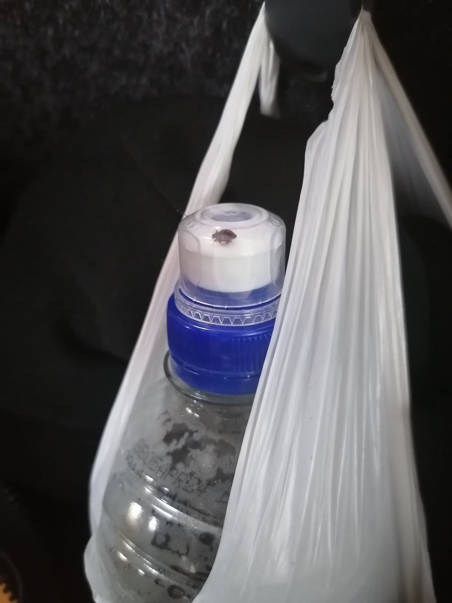 Norluh_07's tweet photo. Not only did the bus break down, they replaced it with a bus where you play swat the mosquitoes, flies and trap the ticks on the bus @IntercapeBus @BigSkyIntercity NEVER AGAIN 😭 https://t.co/xqhBu1eBgZ