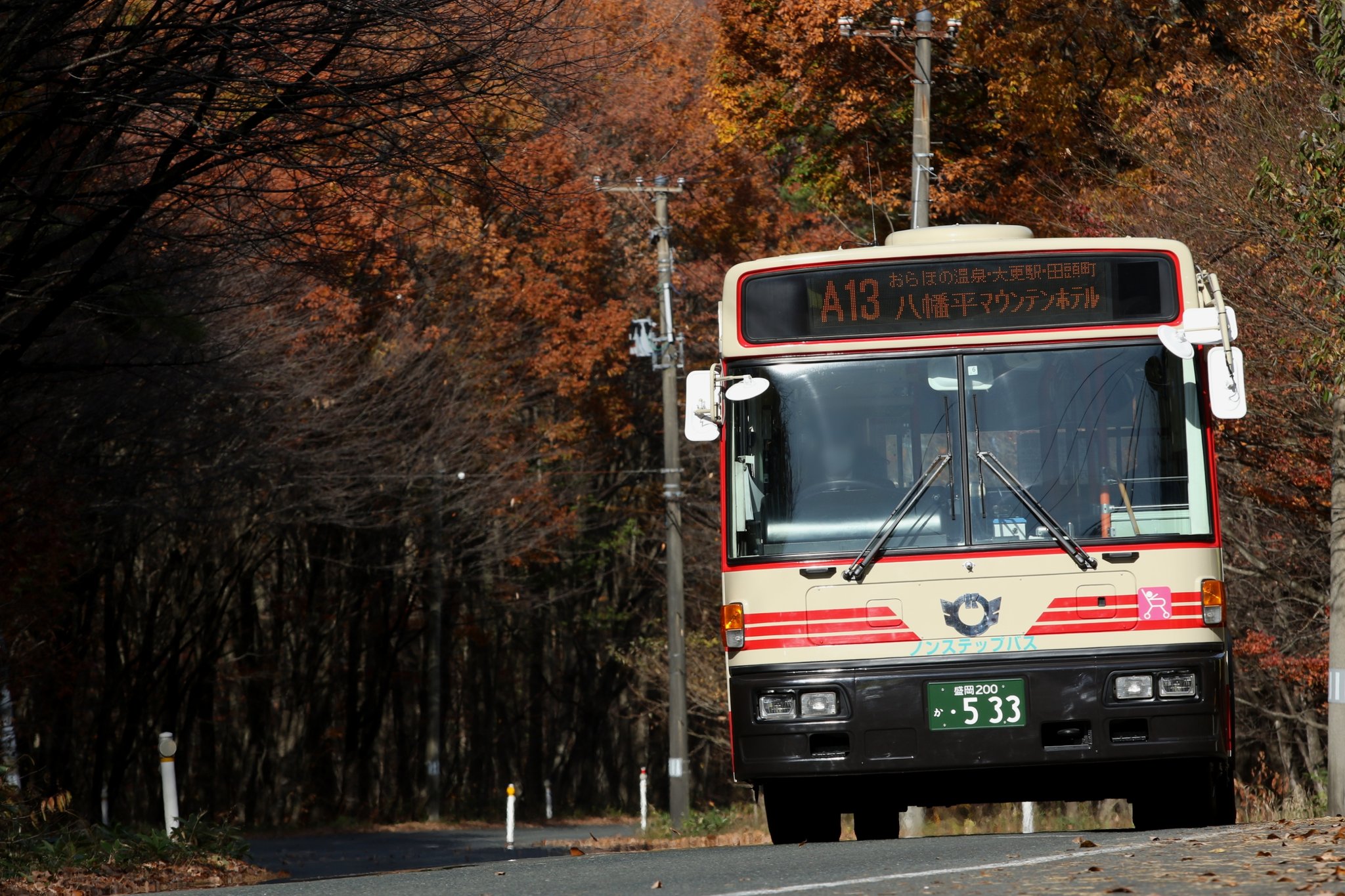 チョロQバス 岩手県北バス 八幡平号 きらわれ