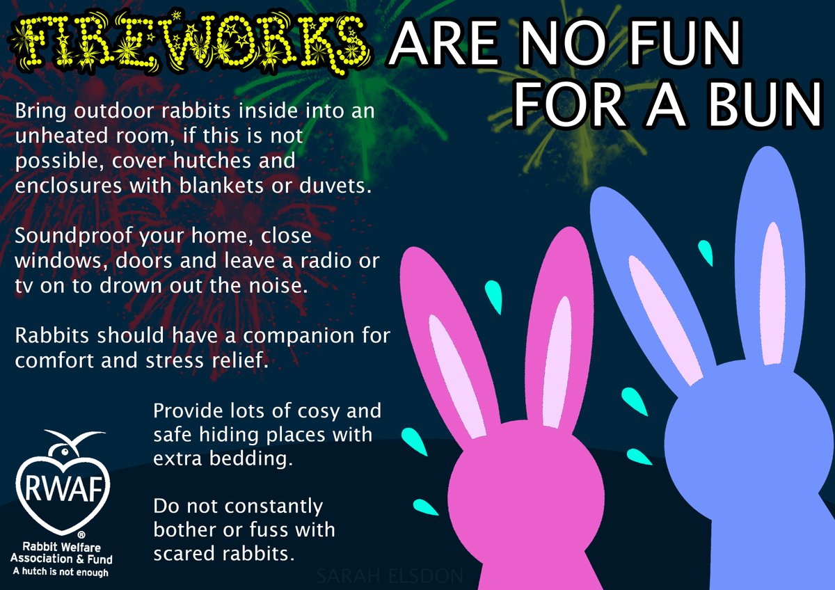 It’s #BonfireNight! 🎆 #Fireworks are extremely stressful for rabbits, so here are a few ways you can help ease their stress as much as possible.