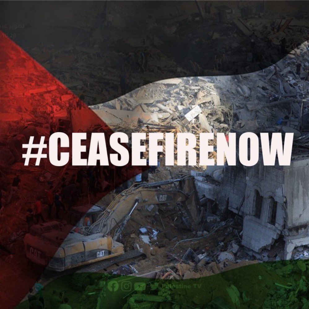maree pardy 🇵🇸🇵🇸🇵🇸 (@mareeep) on Twitter photo 