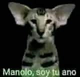 borrego 🍞🐝 tweet media