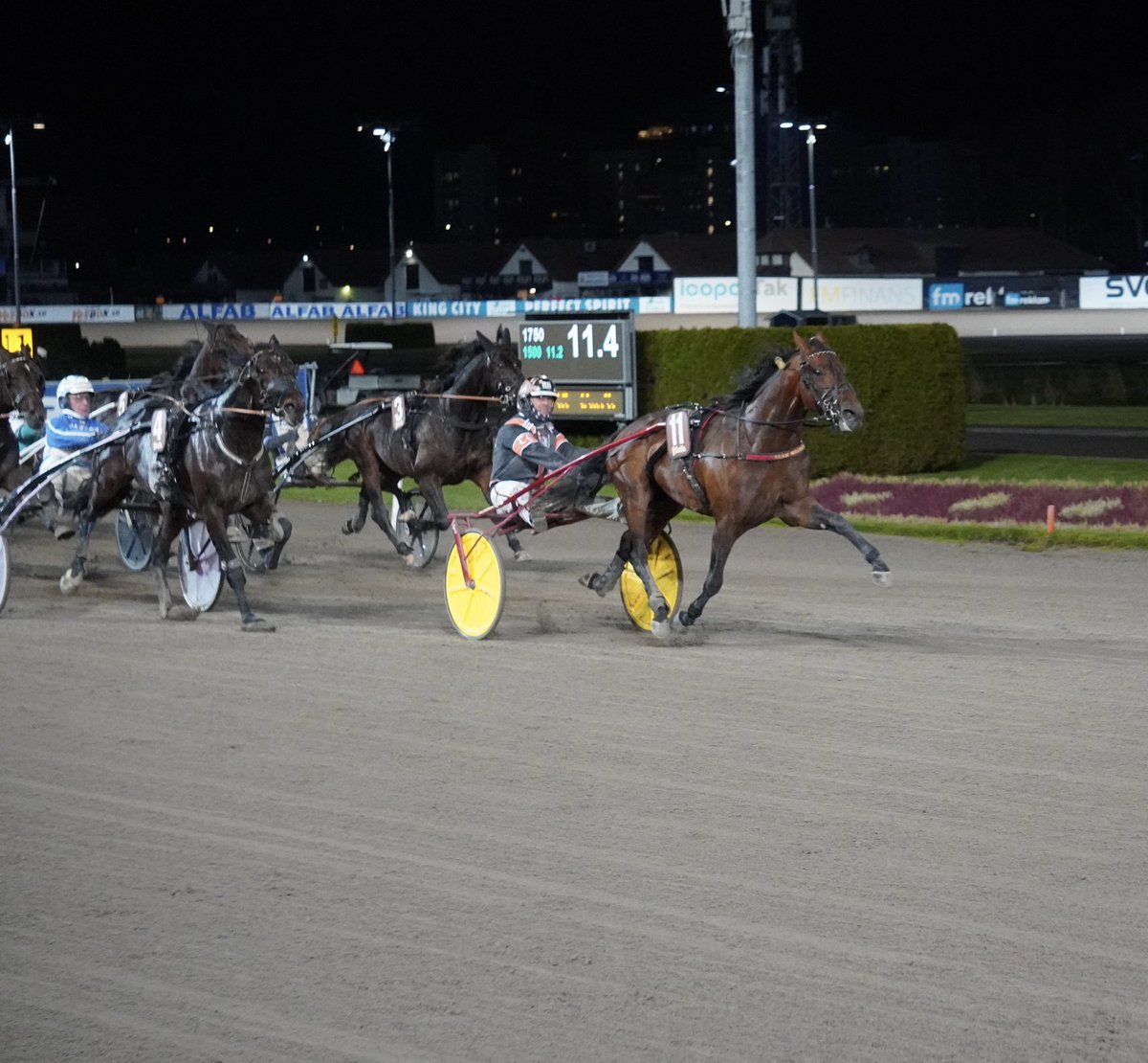 Solvalla tweet media
