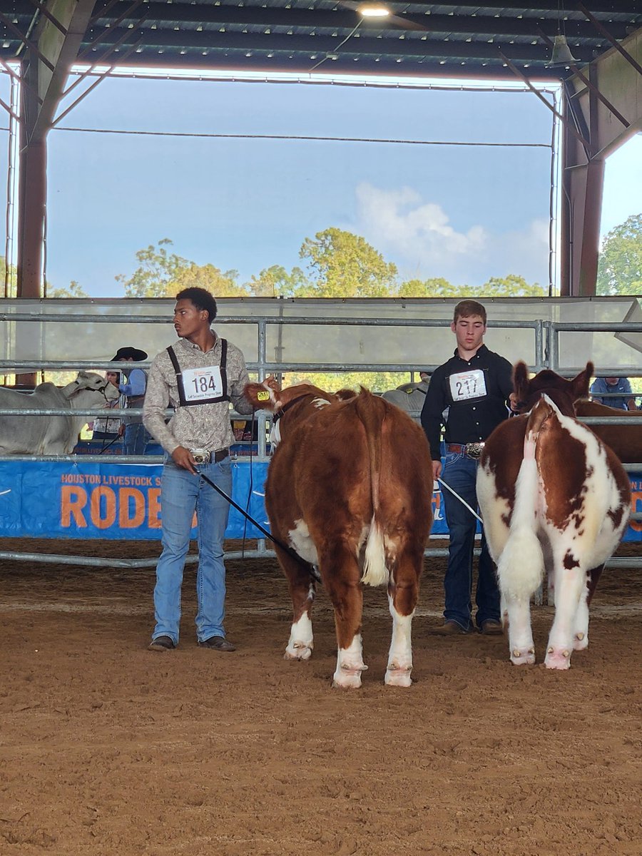 Mayde Creek FFA tweet media