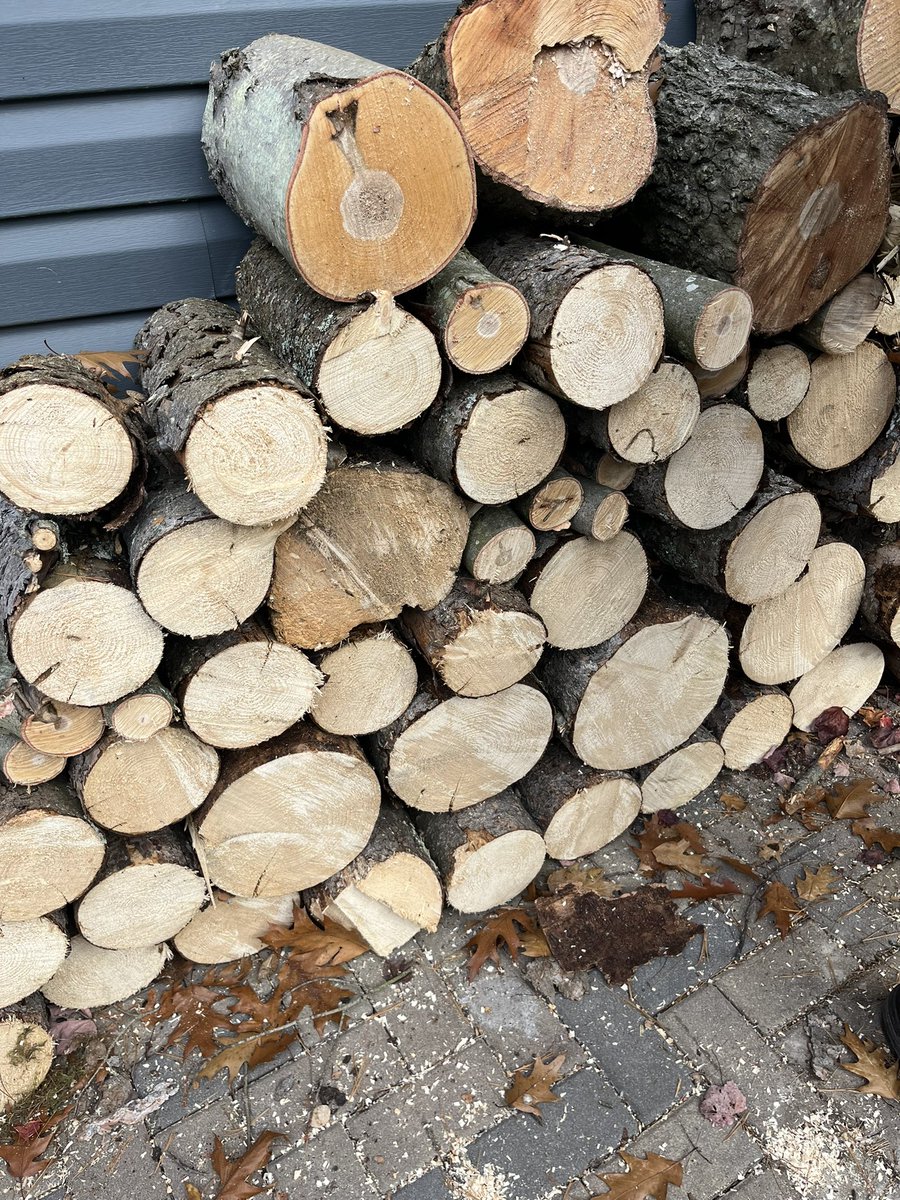 morvixity's tweet image. Still cleaning up after Mother Nature. This time at the cottage. #Yardwork #fall #stupidthingshumansdo