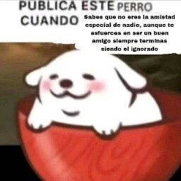 リアム・🪷 tweet media