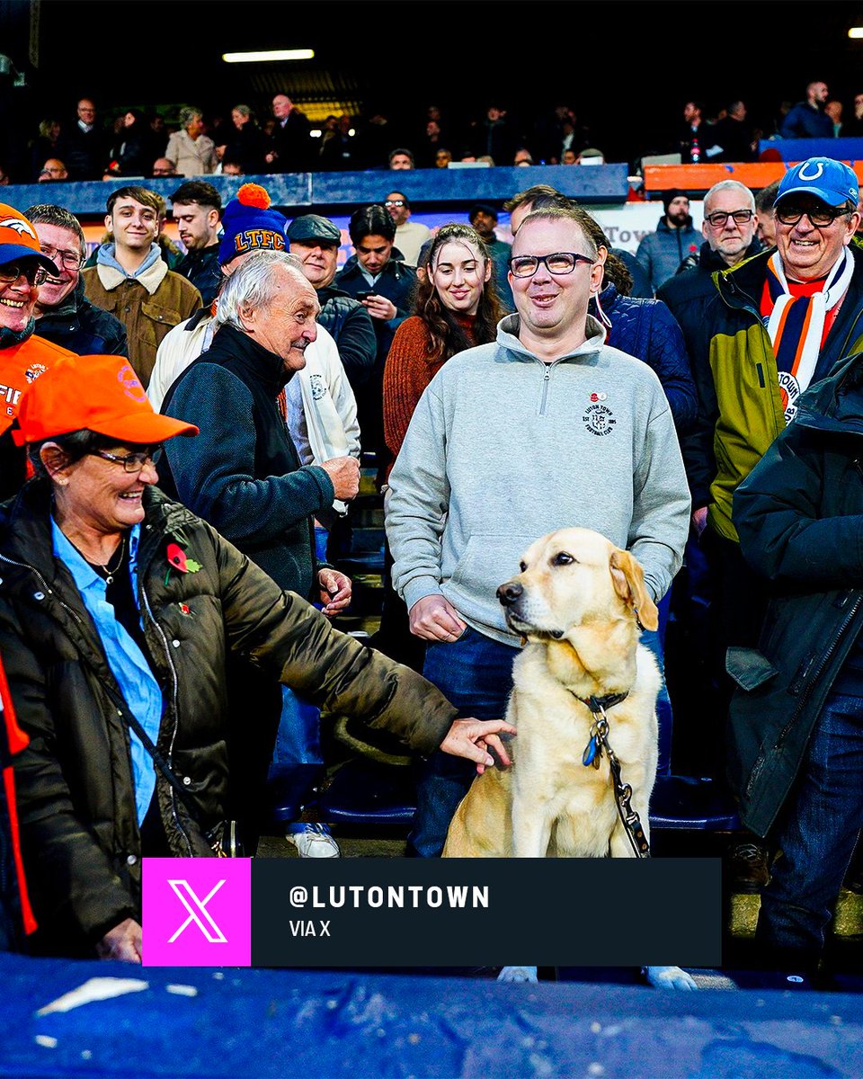 🐶 Guide dog Jeffrey has been attending Luton Town games for over six years with his owner Matt. This will be Jeffrey’s last full season attending matches before he retires 🧡