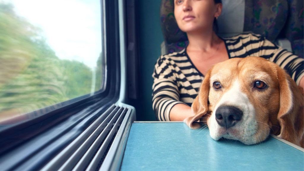 raja_manne's tweet photo. Less General compartments and Special compartment for Pets in #VandheBharat.. is this the development of #ChaiWala or #CronyCap..?
#NaMoBharat #IndianRailways https://t.co/vBsAeAWXuM