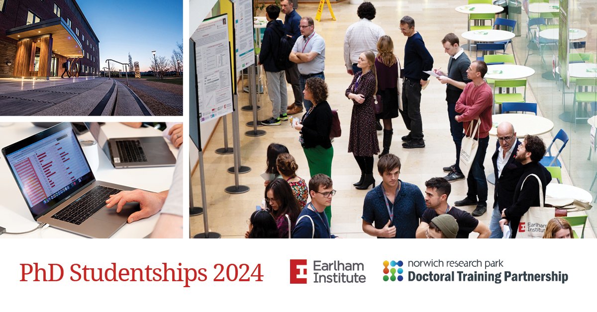 EarlhamInst's tweet photo. 🔎Are you looking to #findaPhD?
🎓 As part of the 2024 @BBSRC-@NRPBIODTP PhD Programme, we have 12 unique #PhDprojects available to apply for, before 20 November 2023.
👇 Check out the projects:
https://t.co/5evGuuAEMG
@NorwichResearch @biouea @uniofeastanglia https://t.co/esq3zc6yFm