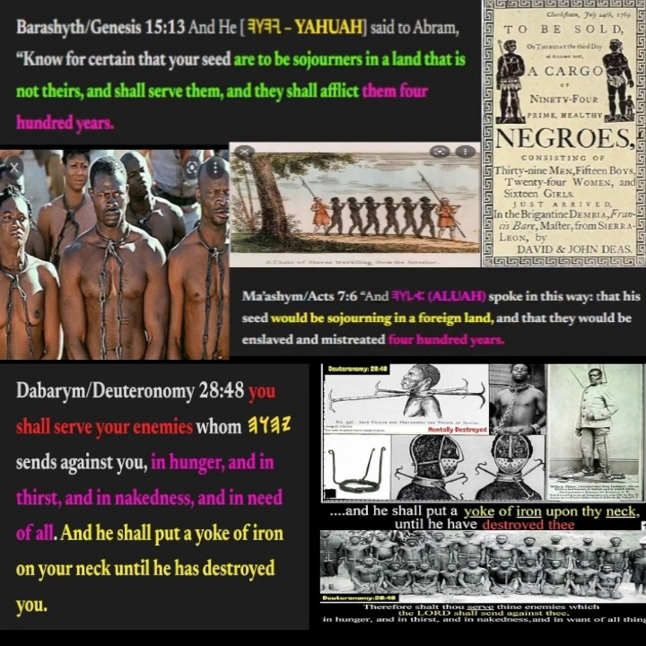 The Real Jews Are Black, If You Stand With The So Called Jewish People And The Rothschilds Owned Land Of Israel You Stand With Satan The True Yahudym Were Brought On Slave Ships Scattered To The Four Corners Through The Slave Trade And Had Chains Of Iron On Their Necks