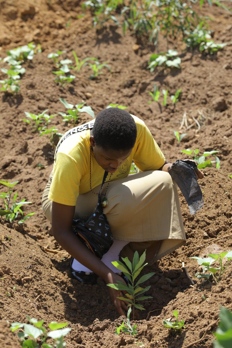 ROOTSUganda's tweet image. Let&apos;s take a moment to reflect on sustainability. As we recognize the importance of preserving our planet, let&apos;s consider the impact of our actions.🌱🌍
☎️ Call +256782432048  now to join our tree planting campaign #RunningOutOfTrees #ROOTsInitiative #UgandaGreeningCampaign