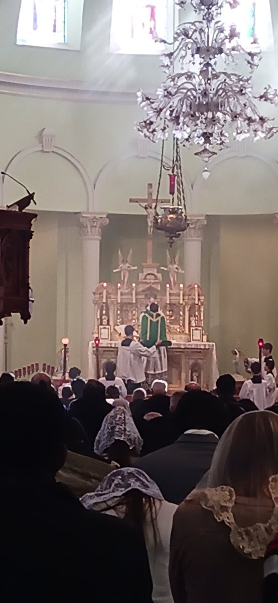 JohnZwicker1's tweet photo. Let us pray.
We beseech You, almighty God, let not human dangers overcome us to whom You grant joyful participation in things divine.
~#PostCommunion

A 🙏 4 U here at our #TraditionalLatinMass Parish 

https://t.co/VyNLJTz9M4 https://t.co/MPfQen2bfp