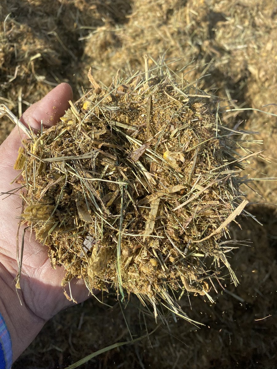 Tales from the Feedyard (Uncensored) tweet media