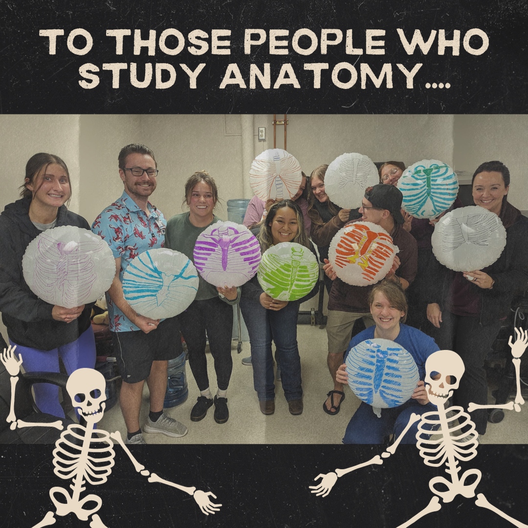 ISUHealthSci's tweet photo. π Happy Radiology Day to the Radiographic Science Program at ISU! π From capturing detailed images to aid accurate diagnoses, your dedication to health education is truly inspiring. #HappyRadiologyDay #RadiologyProgram https://t.co/MhU2BBlP7w
