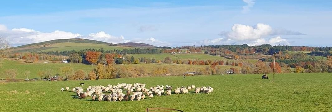 Niall Blair tweet media