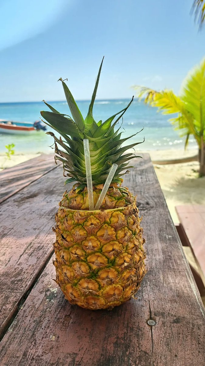 Tatianarodrigz's tweet photo. 📍Punta Cana 🤩 https://t.co/rh31rx6rDP
