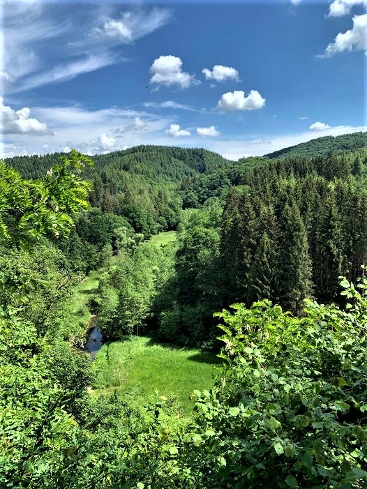 Off to the forest!!!
because researchers have found that the bodies of people who have spent time in a forest produce more killer cells. These are the powerful defense units of the immune system that fight pathogens and potential tumor cells.💚🌱☘️🌿🌳🌲🍀💚