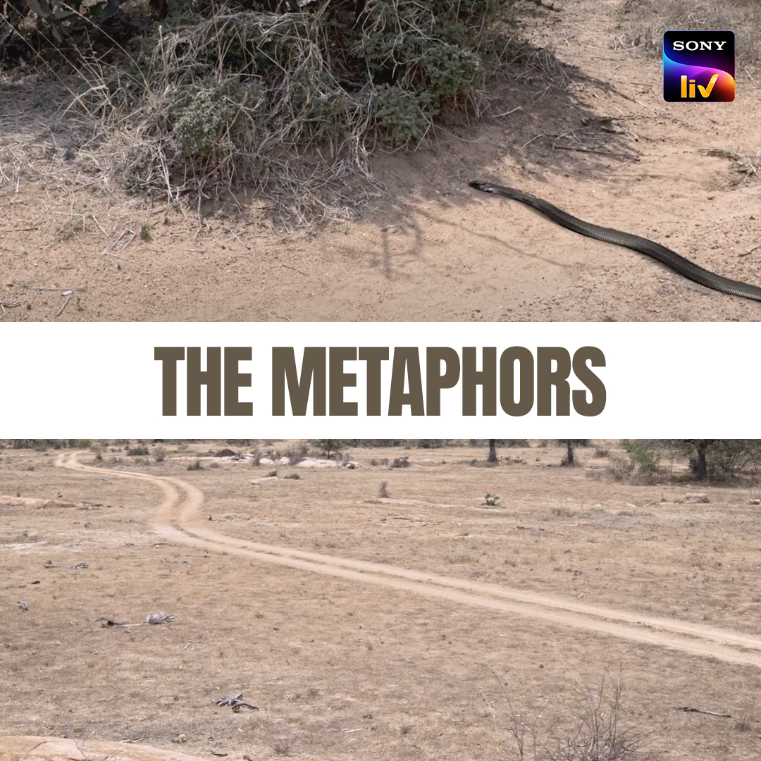 Sony LIV (@sonyliv) on Twitter photo The most unique narrative in recent times that will leave you dumbstruck with every frame.
Catch this iconic indie art film only on Sony LIV.
#SonyLIV #Pebbles #koozhangal #PebblesOnSonyLIV #koozhangalOnSonyLIV
<a href="/PsVinothraj/">Vinothraj PS</a> <a href="/VigneshShivN/">Vignesh Shivan</a> #Nayanthara <a href="/Rowdy_Pictures/">Rowdy Pictures</a> <a href="/ParthiDOP/">Jeya.Parthi</a> The most unique narrative in recent times that will leave you dumbstruck with every frame.
Catch this iconic indie art film only on Sony LIV.
#SonyLIV #Pebbles #koozhangal #PebblesOnSonyLIV #koozhangalOnSonyLIV
<a href="/PsVinothraj/">Vinothraj PS</a> <a href="/VigneshShivN/">Vignesh Shivan</a> #Nayanthara <a href="/Rowdy_Pictures/">Rowdy Pictures</a> <a href="/ParthiDOP/">Jeya.Parthi</a>