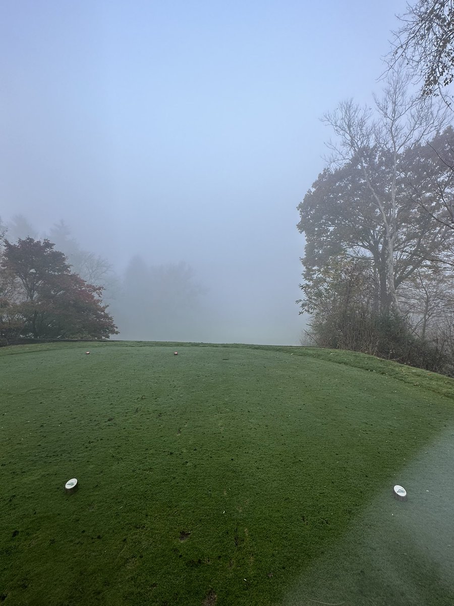 Matt Morelli 🇺🇸 tweet media