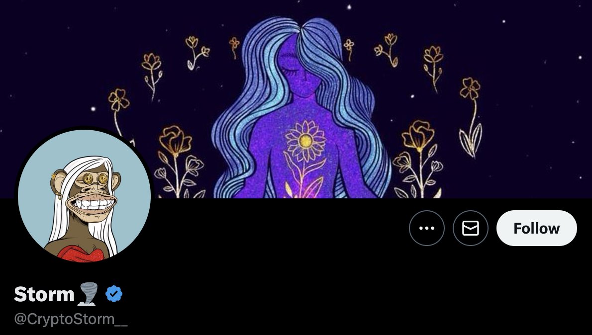 20/ - @CryptoStorm__

➬ New Yorker
➬ DJ
➬ Art Collector
➬ Spirit Lead
➬ Founder: @WFVnft

His slogan...