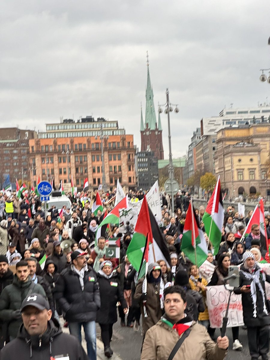 alijla2021's tweet photo. This is the biggest demonstration in Sweden’s history.  It has a start without an end. https://t.co/aYm92is2SF
