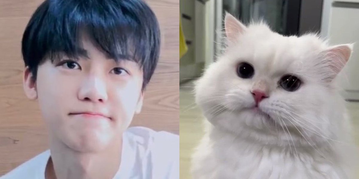 njmhae's tweet photo. jaemin is a cat https://t.co/CzjDm3UKF4
