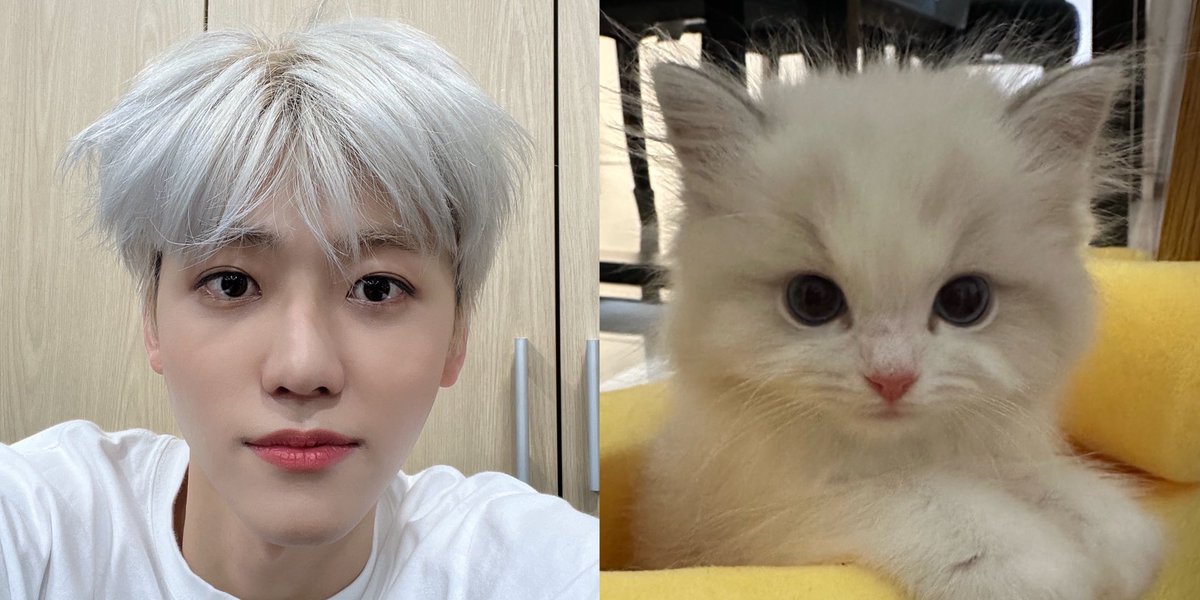 njmhae's tweet photo. jaemin is a cat https://t.co/CzjDm3UKF4