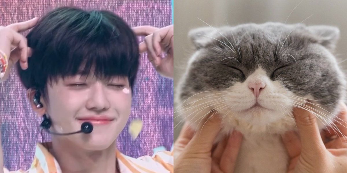 njmhae's tweet photo. jaemin is a cat https://t.co/CzjDm3UKF4