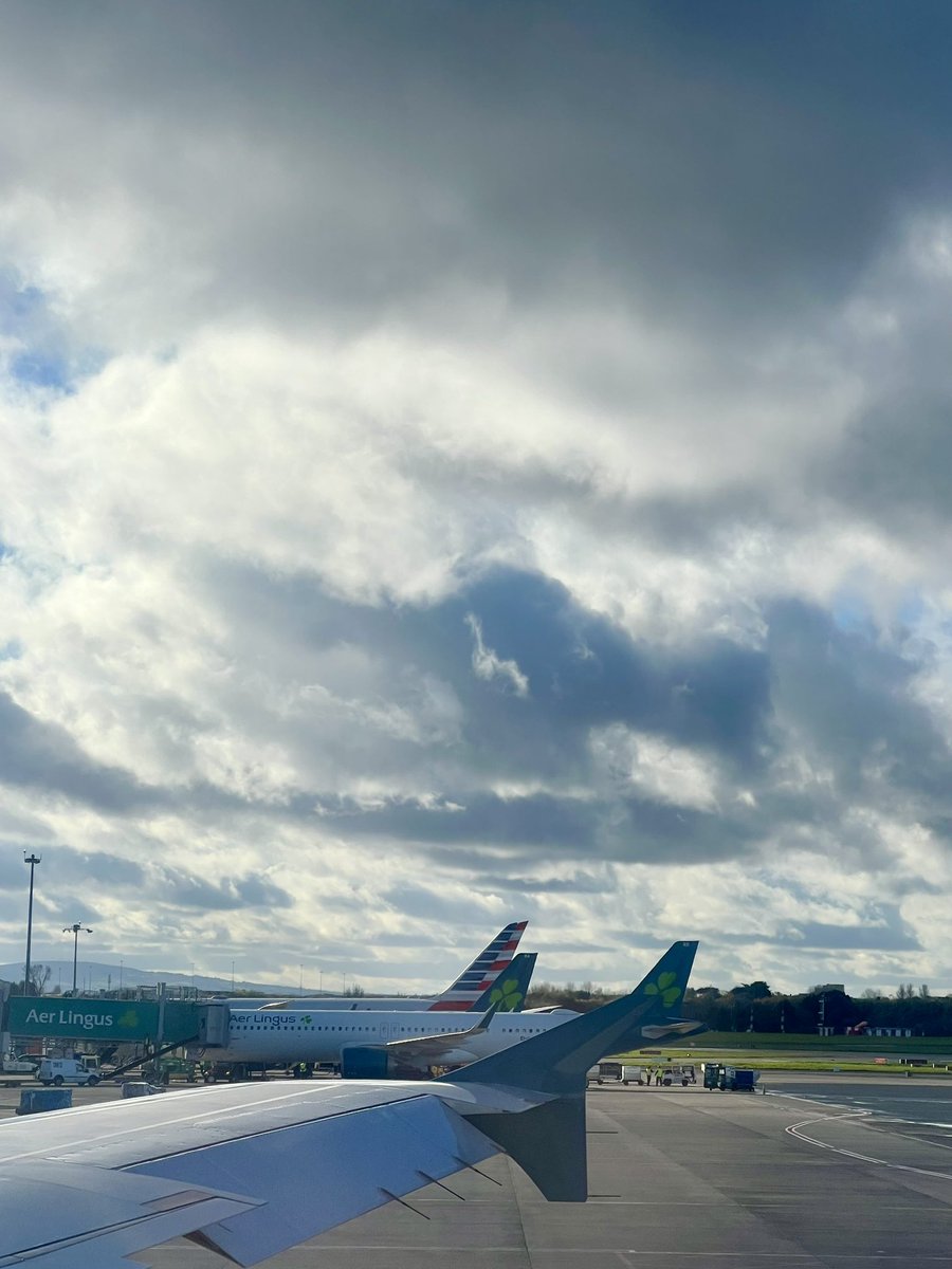 Brian_AutoEntry tweet media