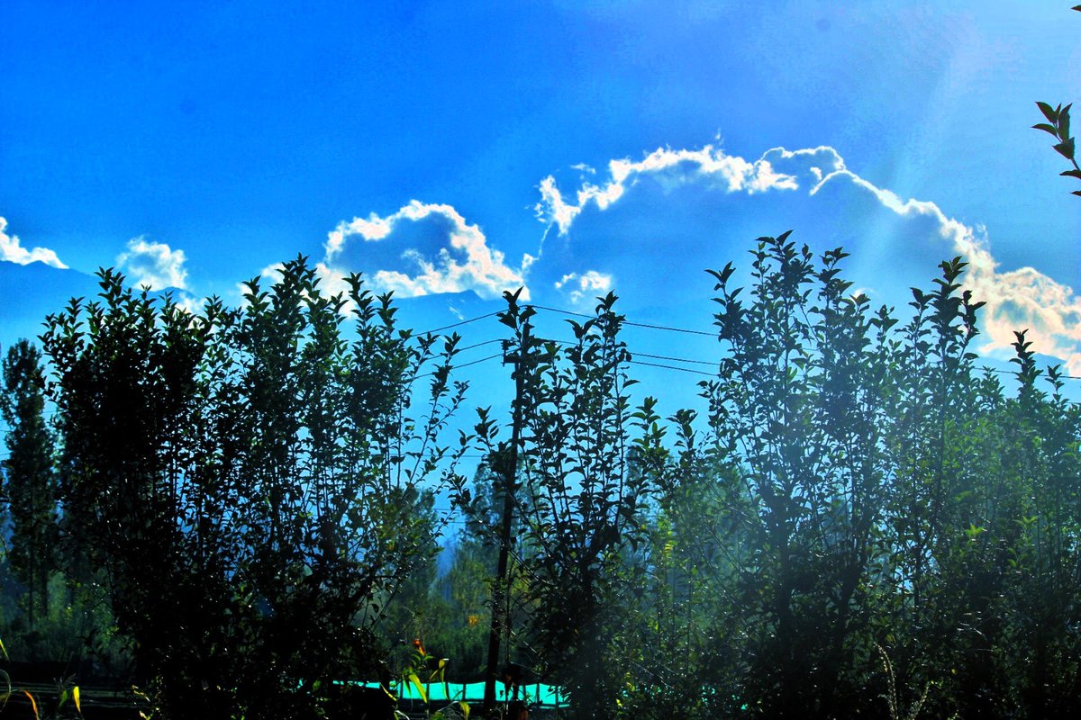 Safiyam49937636's tweet photo. The sky isn't a limit; it's simply a breathtaking vista. π #LimitlessViews
#kashmir https://t.co/RI8A8mC07Y