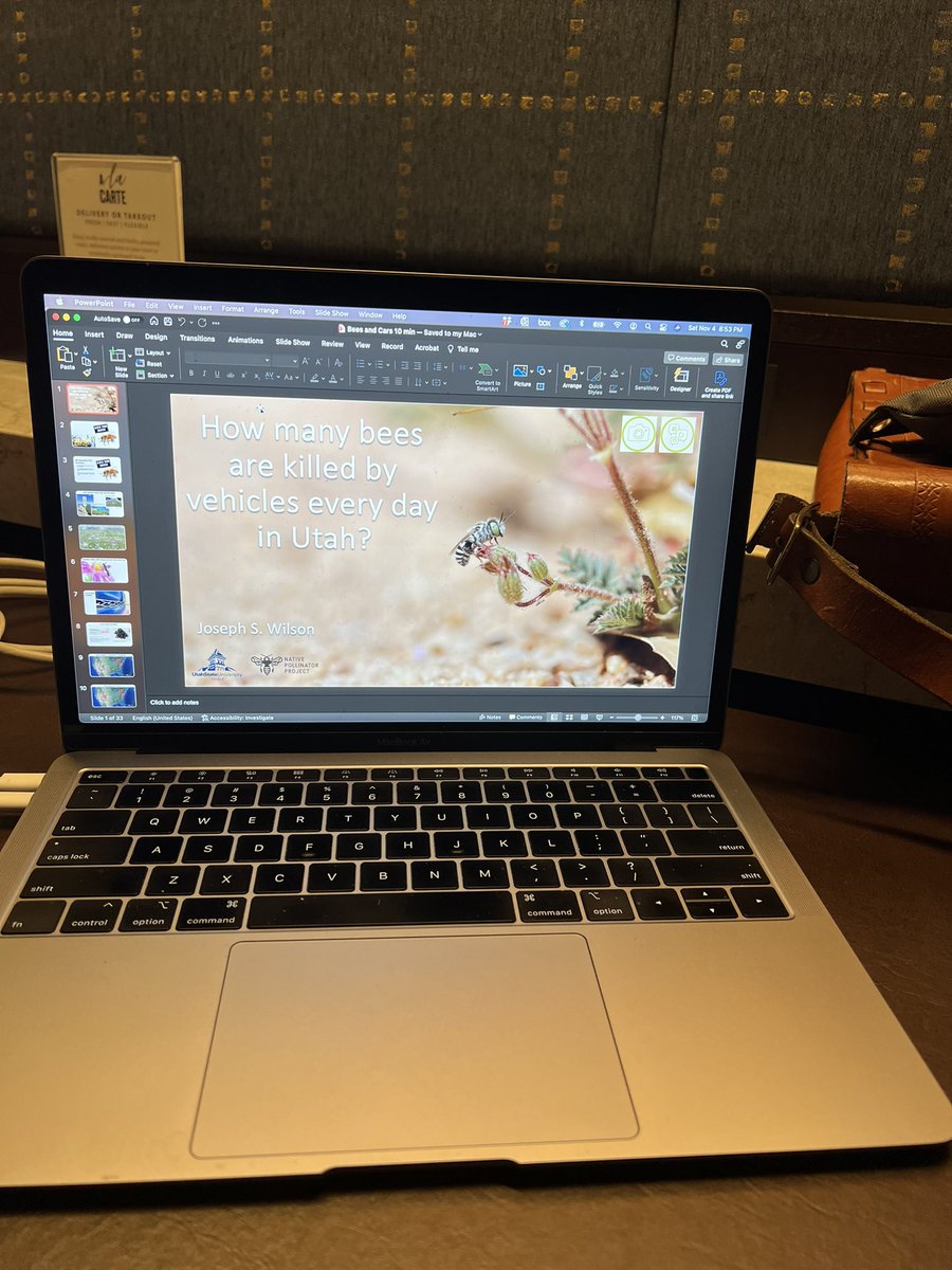 I’m giving a talk this morning at 9 am at #EntSoc23 
If you are here come check it out
How many bees are killed by cars? Answer: a lot