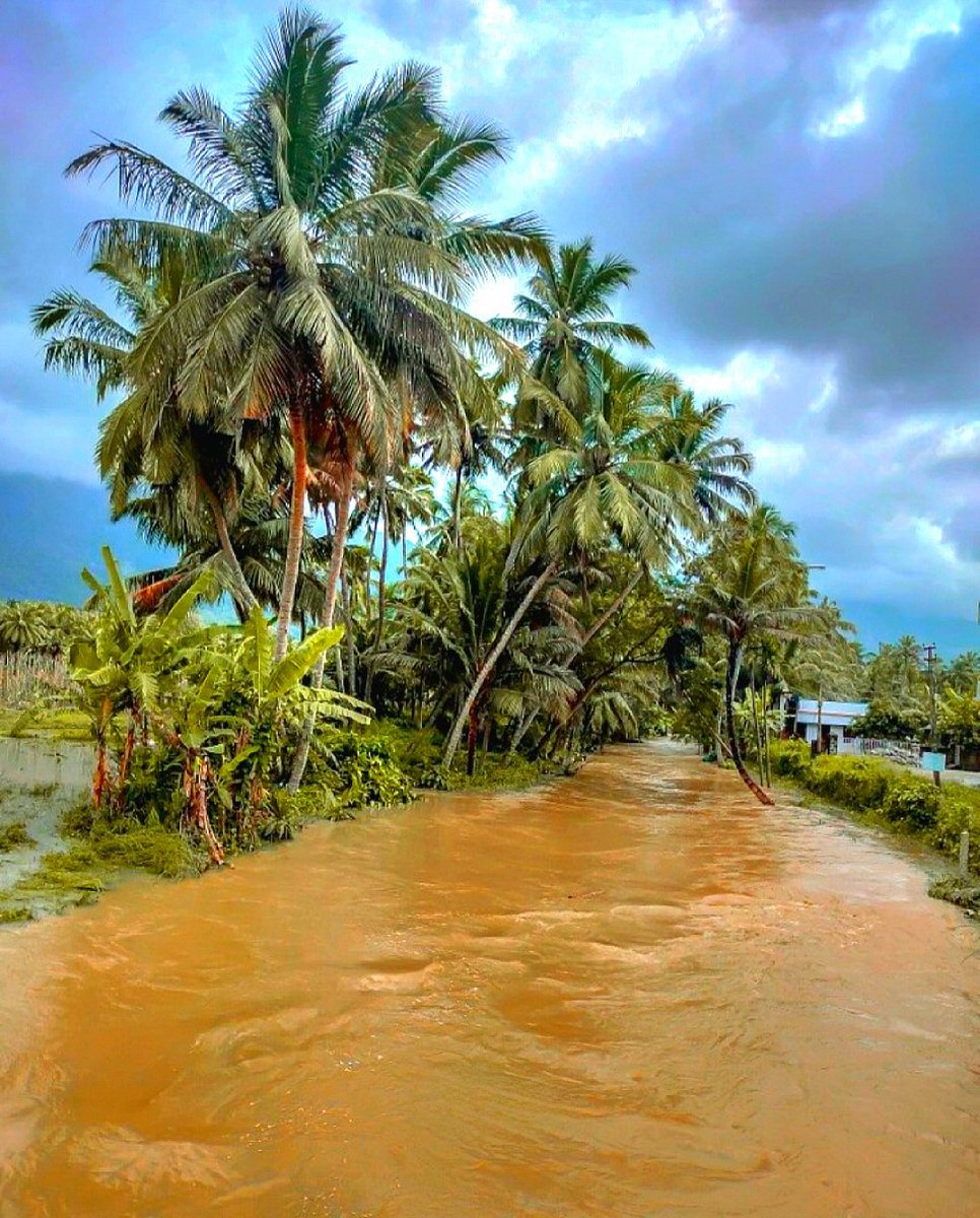 Kumaracoil, Kanyakumari 💚😍