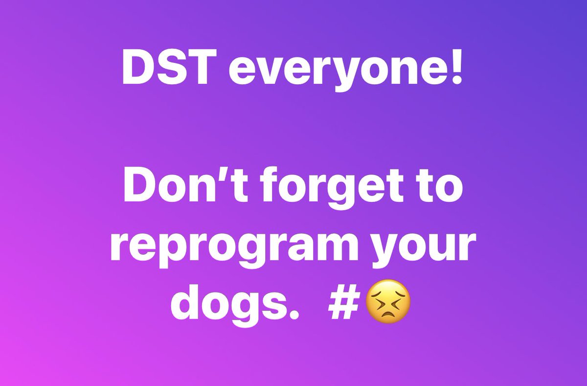 spotspot's tweet image. #DaylightSaving
#DaylightSavings2023 
#DST
#dogs