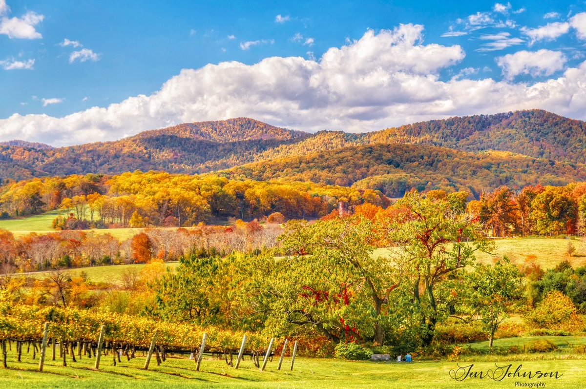 Fall Splendor in the Mountains & Vineyards in North Garden, Virginia @spann #autumn #vawine #loveva