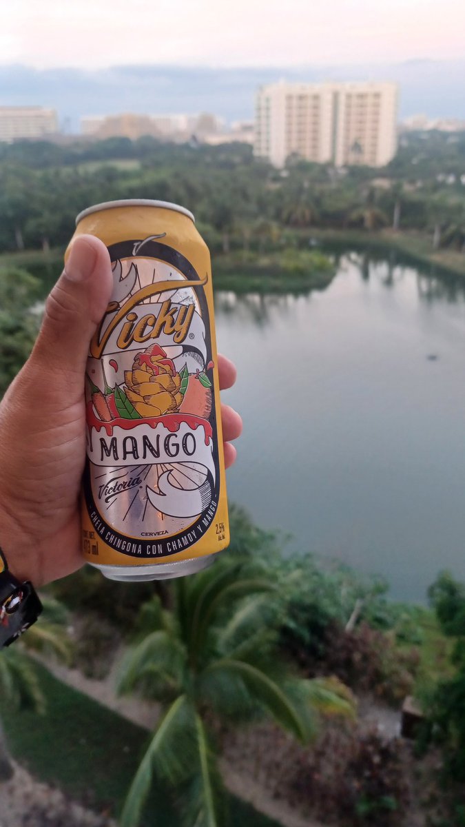 BroncoPartybus's tweet photo. Don’t look at me like that. You too could have a beer at 7 in the morning on a Sunday if you so choose.
#MexicoTime https://t.co/pplJUVW55t