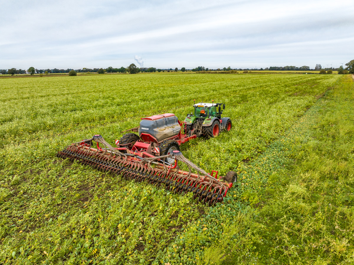 These crops were directly drilled into a multi species cover crop which was established as the rape came off. The cover crops really have been a big help for us this year, keeping the field drier and providing a cover from the endless rain.
#Rockscape #britishfarming #covercrop