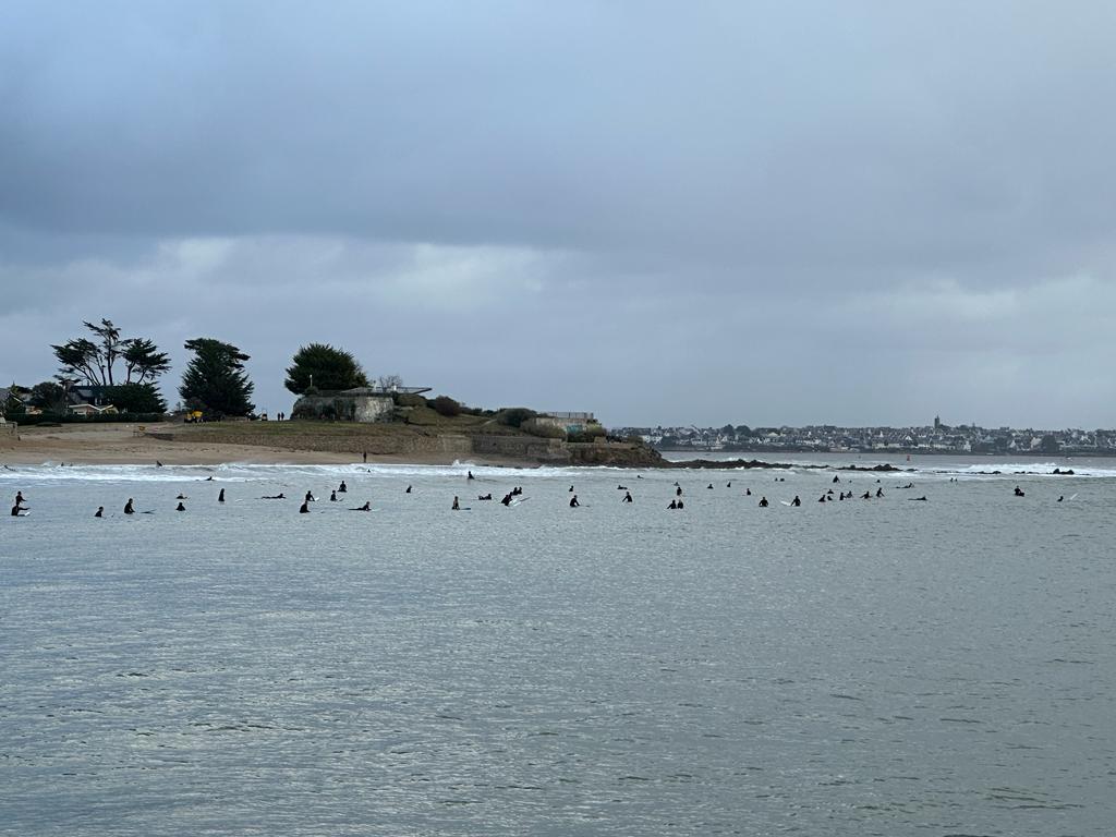 CcilMaisonneuve's tweet image. Je confirme ! #Domingos #Bretagne #Larmor